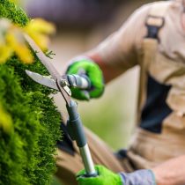 lawn-care-7-e1712349918875