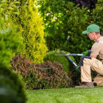 xr:d:DAF7oxsWb0E:72,j:6418053177910284022,t:24040312