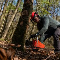 pexels-fabian-kohler-155870497-11932165